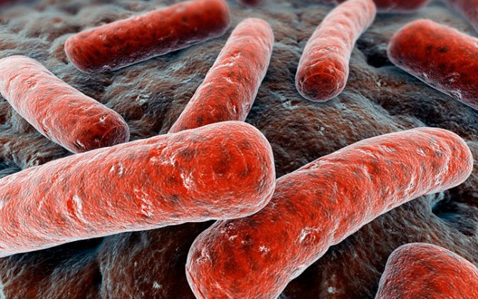 Бактерии гарднереллы у мужчин