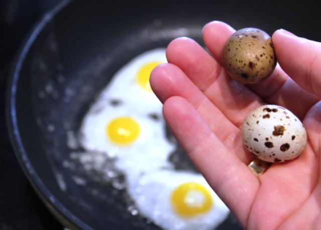 Как есть перепелиные яйца