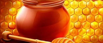 Мёд и грецкие орехи для потенции