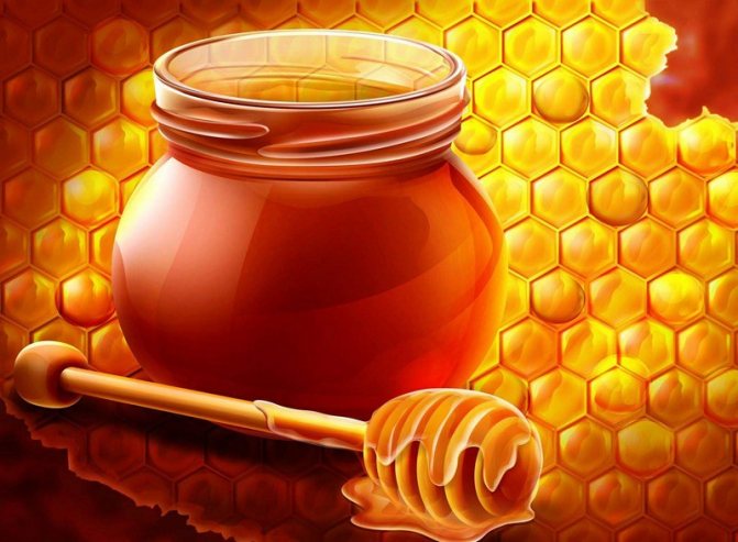 Мёд и грецкие орехи для потенции