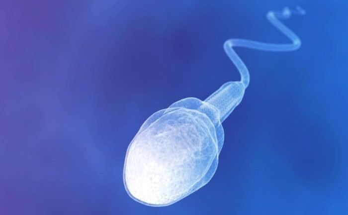 олиготератозооспермия и ее влияние на фертильность