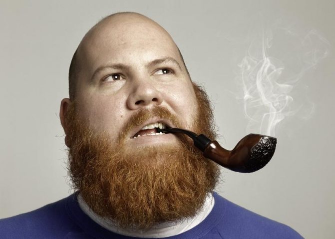 Почему рыжеет борода и почему борода рыжая