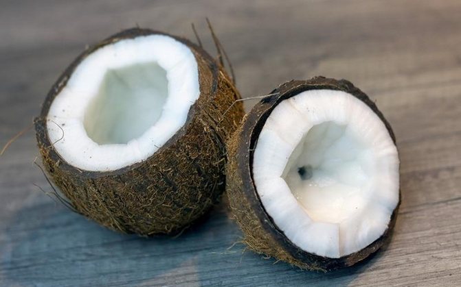 Польза и вред кокоса для здоровья, как принимать, калорийность