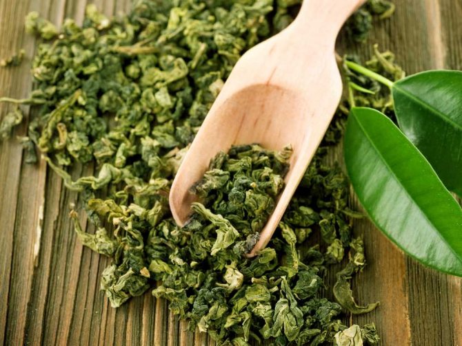 Сухой зеленый чай с деревянной лопаткой