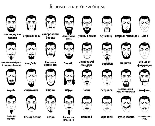 Типы бороды