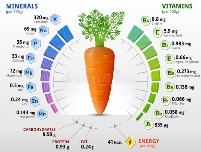 витамины в моркови